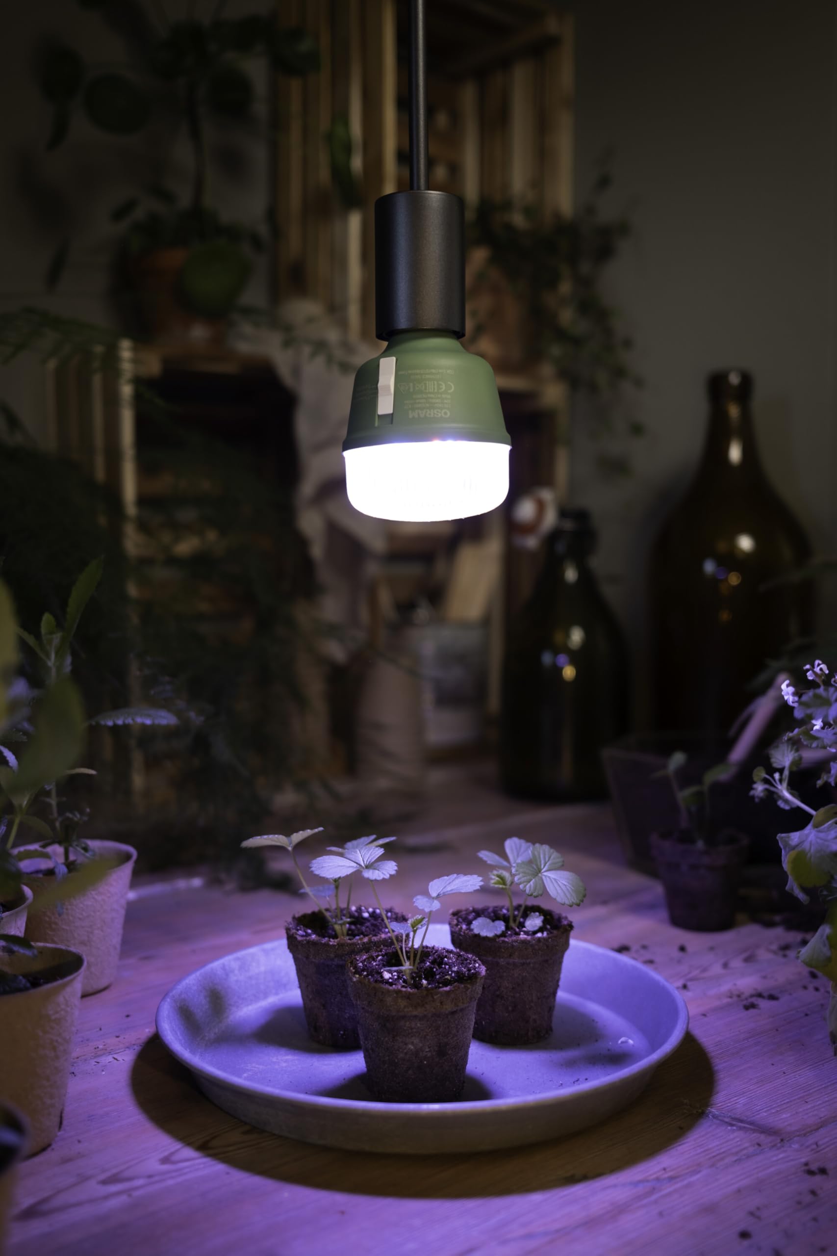 OSRAM SMART+ LED Pflanzenlampe T80 E27 20W