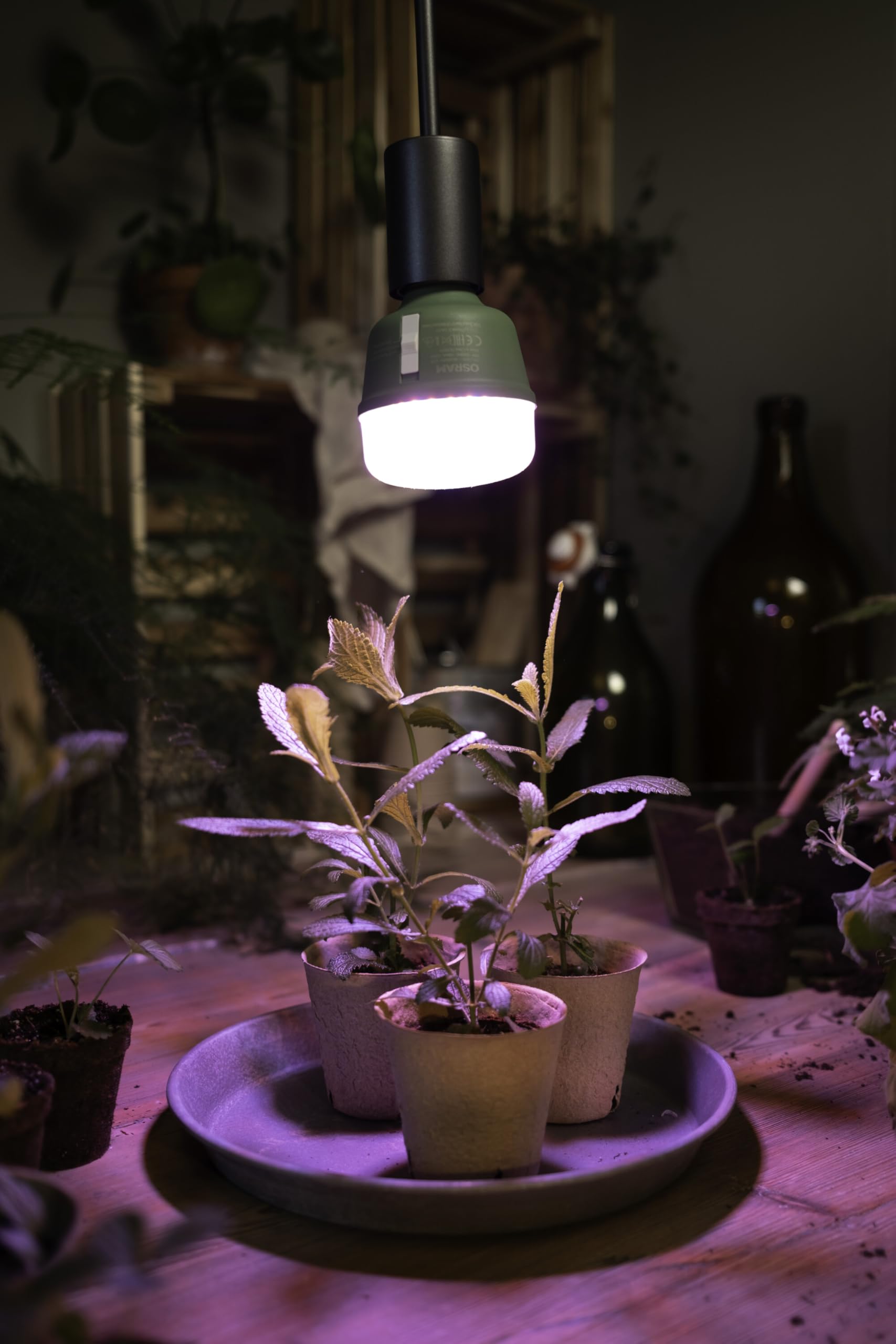 OSRAM SMART+ LED Pflanzenlampe T80 E27 20W