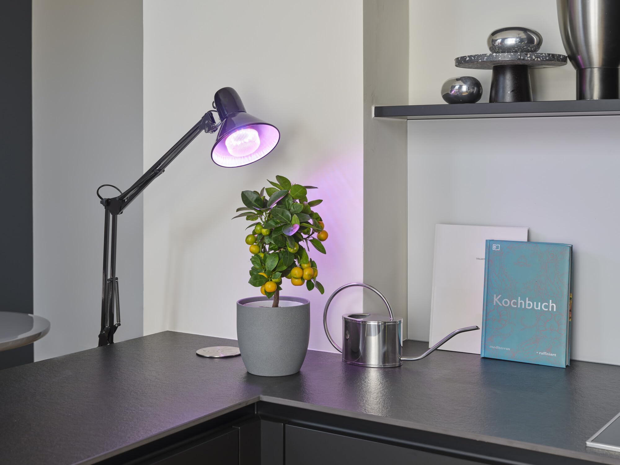 OSRAM SMART+ LED Pflanzenlampe T80 E27 20W