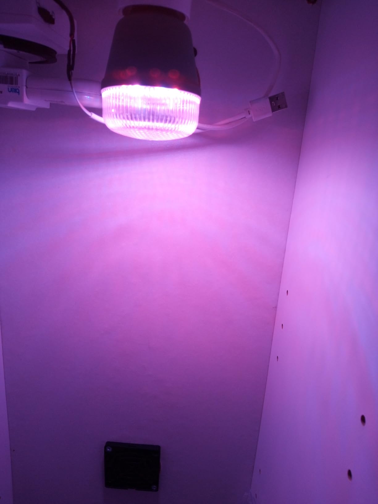 Osram Star Grow T60 Pflanzenlampe E27 10W 6er Pack