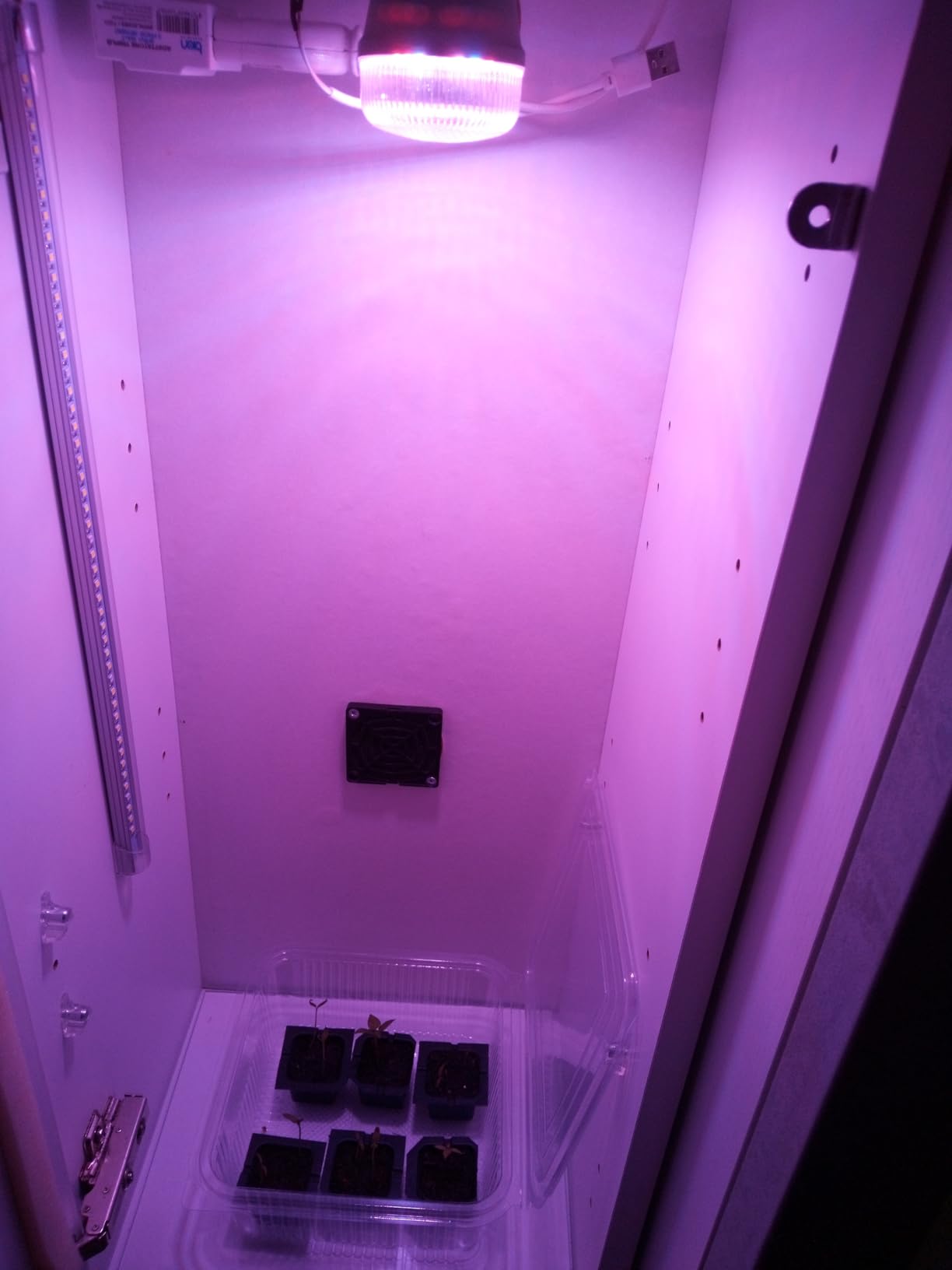 Osram Star Grow T60 Pflanzenlampe E27 10W 6er Pack