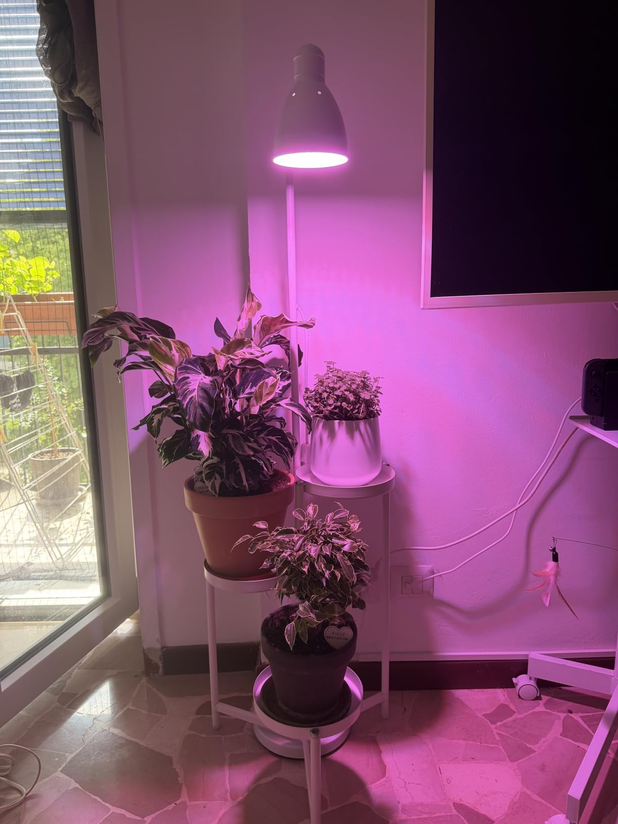 OSRAM SMART+ LED Pflanzenlampe T80 E27 20W