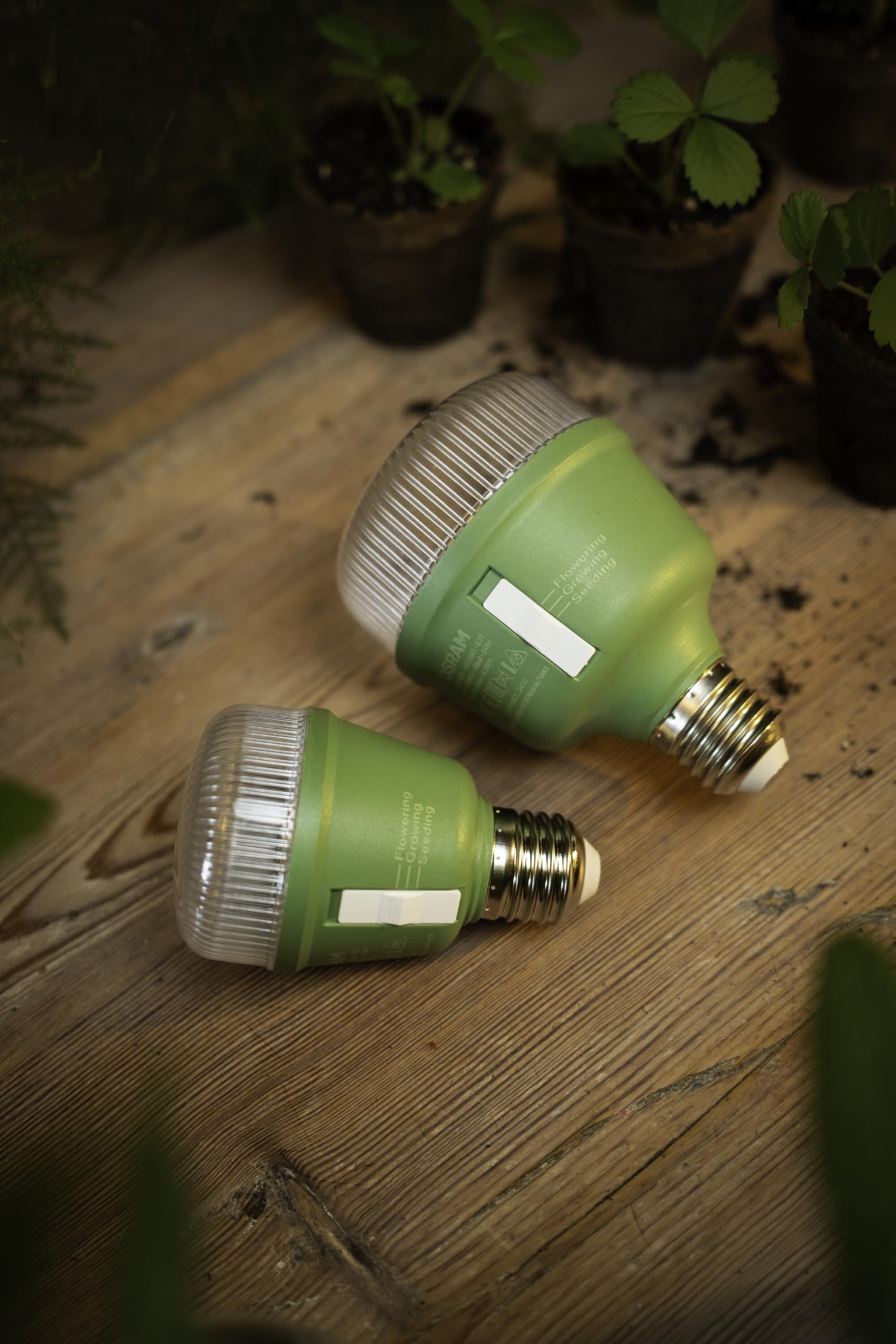 OSRAM SMART+ LED Pflanzenlampe T80 E27 20W
