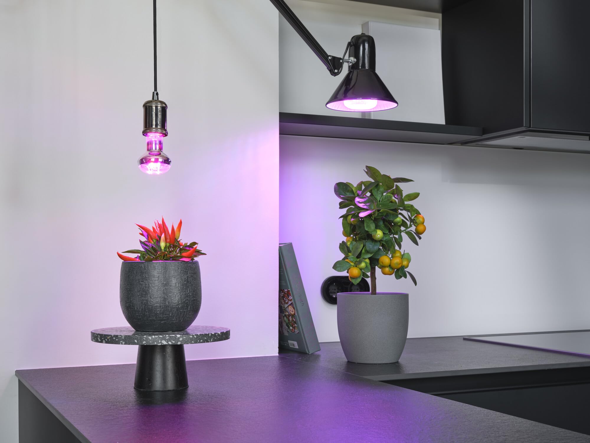 OSRAM SMART+ LED Pflanzenlampe T80 E27 20W